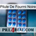 Black Ant Pill viagra2